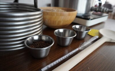 Sörfőzés otthon – hogyan készítsünksaját sört? – BpBeerLab