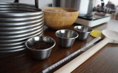 Sörfőzés otthon – hogyan készítsünksaját sört? – BpBeerLab