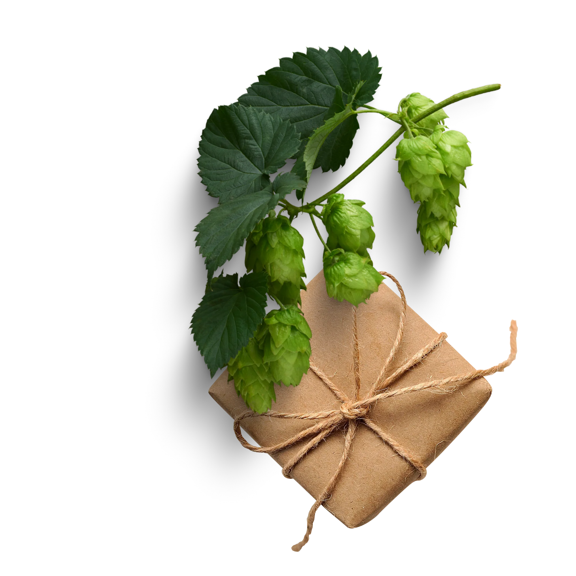 komló és ajándékcsomag